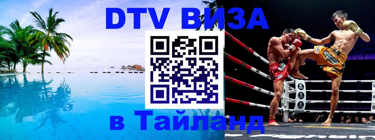 Сколько стоит DTV виза — актуальные цены, оформление даже без документов - Берлин 